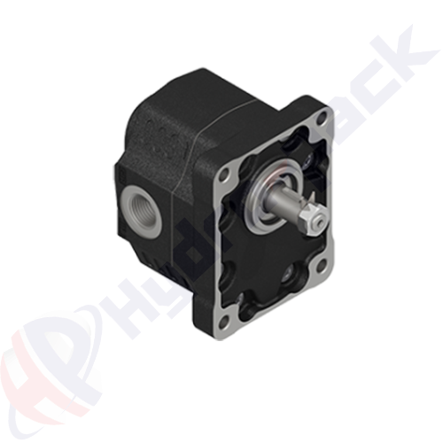 KR-EHASS-82-R Group 30 Cast Iron Pump